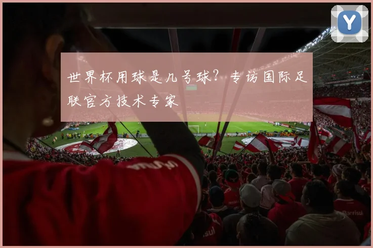 世界杯用球是几号球?专访国际足联官方技术专家