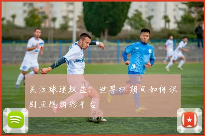 关注球迷权益:世界杯期间如何识别正规购彩平台