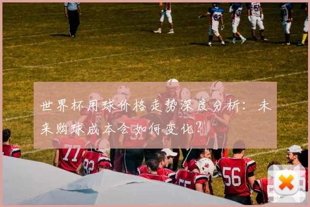 世界杯用球价格走势深度分析:未来购球成本会如何变化?