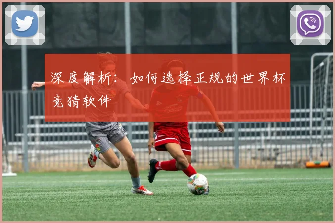 深度解析：如何选择正规的世界杯竞猜软件