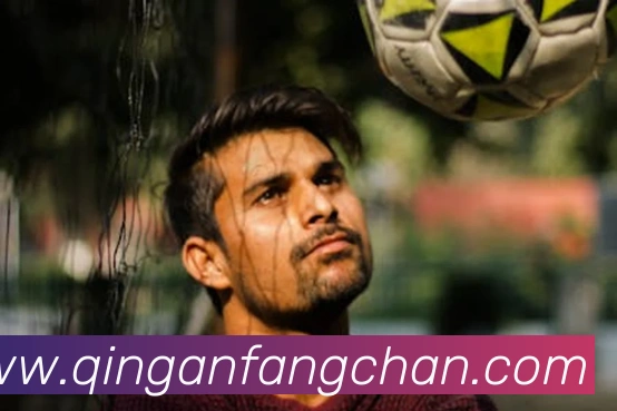 App Interface Preview